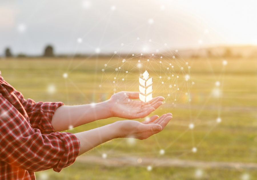 SECP Secretarial approach